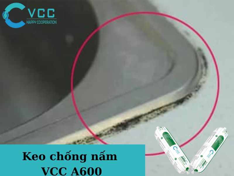 Keo chống nấm  VCC A600